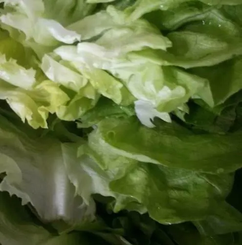 Bukor Shtepi Magnolia 度假村 4*